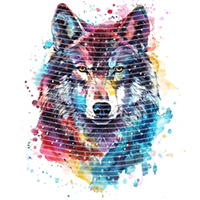 Animal Integration-DW 855